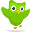 Small Duolingo icon