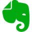 Small Evernote icon