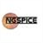 Small Ngspice icon