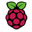 Small Raspberry Pi icon
