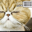 Small Tuna.js icon