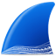 Small Wireshark icon