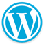 Small WordPress icon